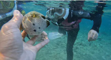 武藤潜水に投稿された画像（2023/10/7）