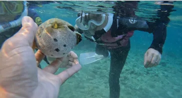 武藤潜水に投稿された画像（2023/10/7）