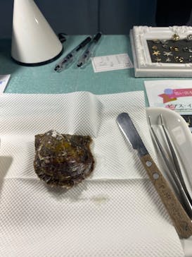 大分マリーンパレス水族館 「うみたまご」に投稿された画像（2023/10/7）