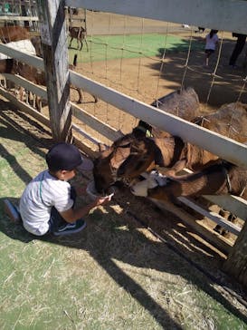 成田ゆめ牧場に投稿された画像（2023/10/8）