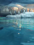天王寺動物園に投稿された画像（2023/10/8）