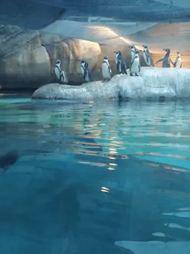 天王寺動物園に投稿された画像（2023/10/8）