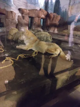 天王寺動物園に投稿された画像（2023/10/8）