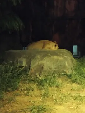 天王寺動物園に投稿された画像（2023/10/8）