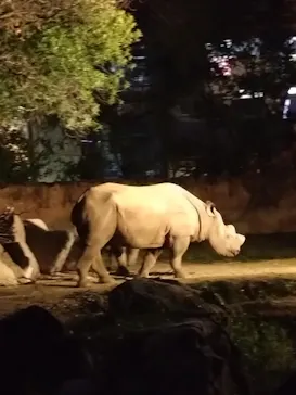 天王寺動物園に投稿された画像（2023/10/8）