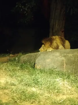 天王寺動物園に投稿された画像（2023/10/8）