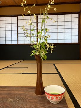 茶禅に投稿された画像（2023/10/8）