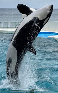 鴨川シーワールドに投稿された画像（2023/10/8）