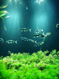 サンシャイン水族館に投稿された画像（2023/10/8）