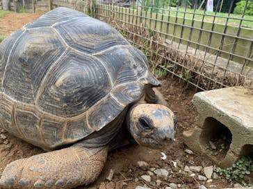 美らヤシパークオキナワ・東南植物楽園に投稿された画像（2023/10/8）