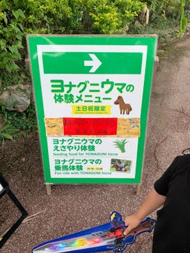 美らヤシパークオキナワ・東南植物楽園に投稿された画像（2023/10/8）