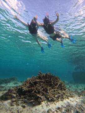 宮古島 ADVENTURE PiPi（ミヤコジマ アドベンチャー ピピ）に投稿された画像（2023/10/8）