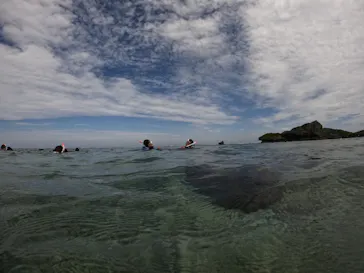 武藤潜水に投稿された画像（2023/10/8）