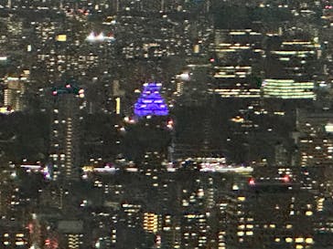 ハルカス300(展望台)に投稿された画像（2023/10/8）