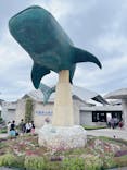 沖縄美ら海水族館に投稿された画像（2023/10/8）