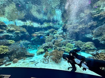 沖縄美ら海水族館に投稿された画像（2023/10/8）