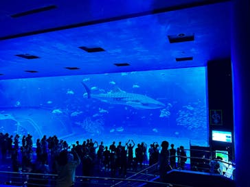 沖縄美ら海水族館に投稿された画像（2023/10/8）