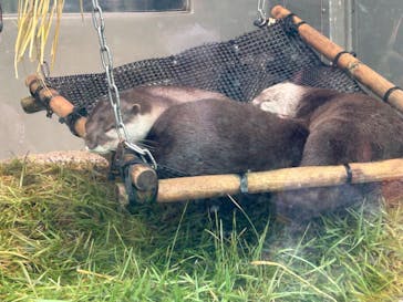 サンシャイン水族館に投稿された画像（2023/10/8）