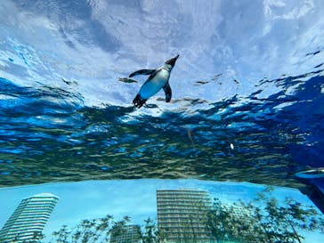 サンシャイン水族館に投稿された画像（2023/10/8）