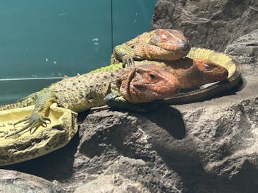 サンシャイン水族館に投稿された画像（2023/10/8）
