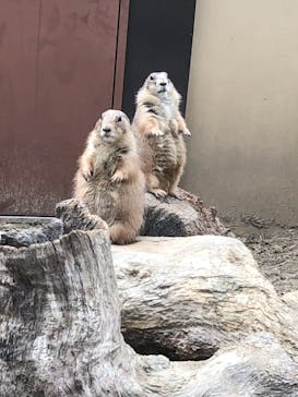 到津の森公園に投稿された画像（2023/10/8）