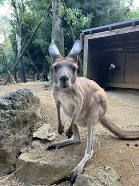 伊豆シャボテン動物公園に投稿された画像（2023/10/8）
