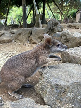 伊豆シャボテン動物公園に投稿された画像（2023/10/8）