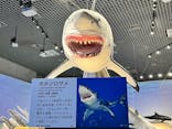 特別展「海　―生命のみなもと―」（国立科学博物館）に投稿された画像（2023/10/8）