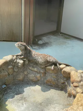 横浜・八景島シーパラダイスに投稿された画像（2023/10/8）
