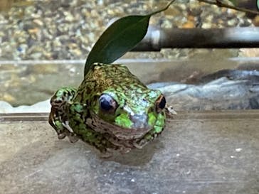 到津の森公園に投稿された画像（2023/10/8）