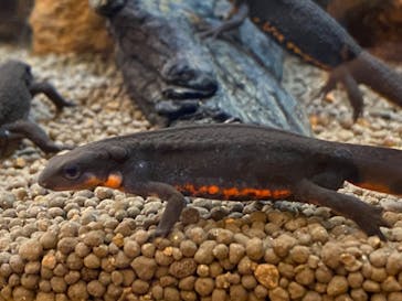 到津の森公園に投稿された画像（2023/10/8）