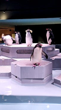 AOAO SAPPOROに投稿された画像（2023/10/8）