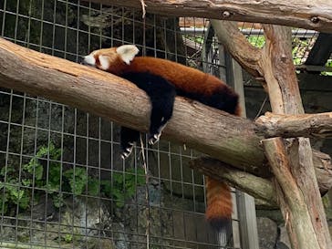 熱川バナナワニ園に投稿された画像（2023/10/8）