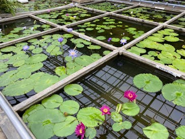 熱川バナナワニ園に投稿された画像（2023/10/8）