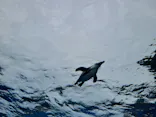 サンシャイン水族館に投稿された画像（2023/10/8）