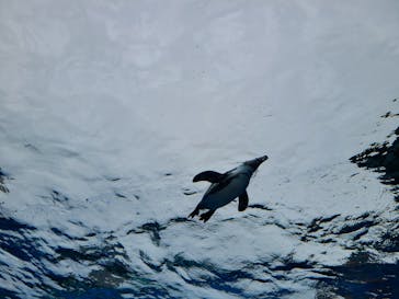 サンシャイン水族館に投稿された画像（2023/10/8）