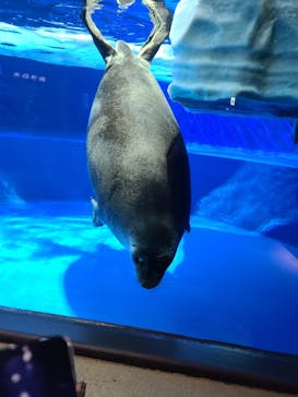 サンシャイン水族館に投稿された画像（2023/10/8）