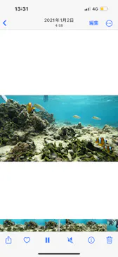 武藤潜水に投稿された画像（2023/10/8）