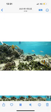 武藤潜水に投稿された画像（2023/10/8）