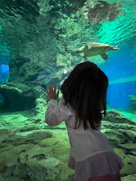 名古屋港水族館に投稿された画像（2023/10/8）