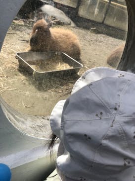 宇都宮動物園に投稿された画像（2023/10/8）