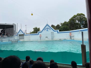 しながわ水族館に投稿された画像（2023/10/8）