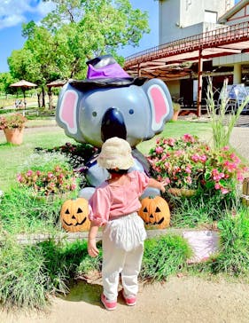 淡路ファームパーク イングランドの丘に投稿された画像（2023/9/29）