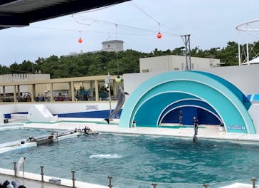 鴨川シーワールドに投稿された画像（2023/10/8）