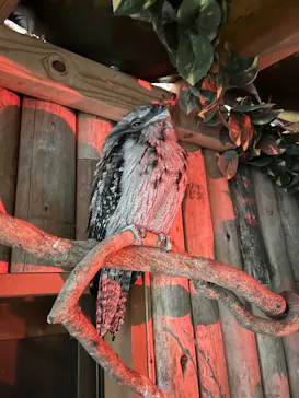 神戸どうぶつ王国に投稿された画像（2023/10/8）