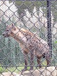 千葉市動物公園に投稿された画像（2023/10/8）