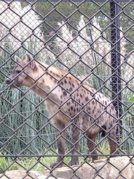 千葉市動物公園に投稿された画像（2023/10/8）