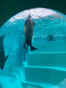 マリンワールド海の中道に投稿された画像（2023/10/8）