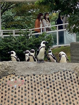 マリンワールド海の中道に投稿された画像（2023/10/8）