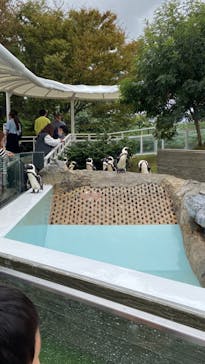 マリンワールド海の中道に投稿された画像（2023/10/8）